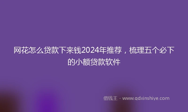 网花怎么贷款下来钱2024年推荐，梳理五个必下的小额贷款软件