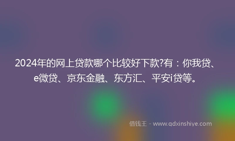 2024年的网上贷款哪个比较好下款?有：你我贷、e微贷、京东金融、东方汇、平安i贷等。