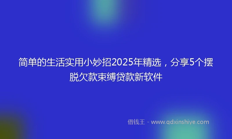 简单的生活实用小妙招2025年精选，分享5个摆脱欠款束缚贷款新软件