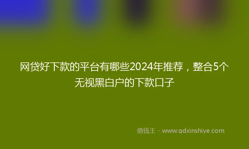 网贷好下款的平台有哪些2024年推荐，整合5个无视黑白户的下款口子