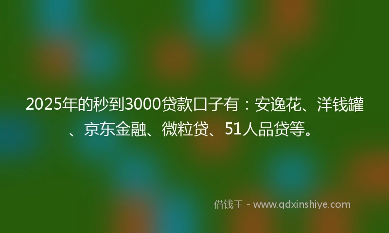 2025年的秒到3000贷款口子有：安逸花、洋钱罐、京东金融、微粒贷、51人品贷等。