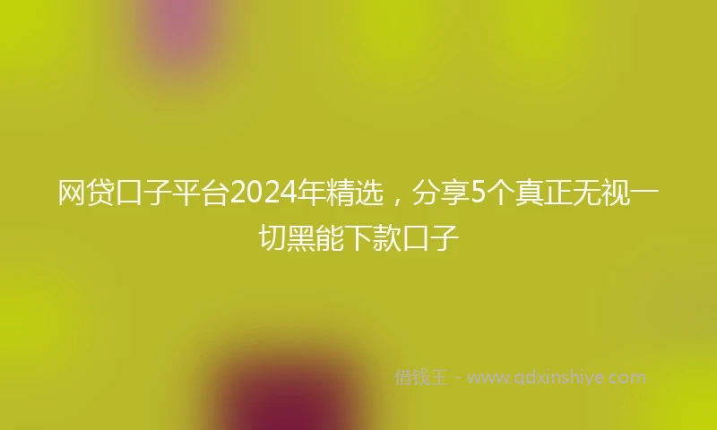 网贷口子平台2024年精选，分享5个真正无视一切黑能下款口子