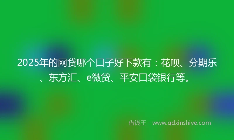 2025年的网贷哪个口子好下款有：花呗、分期乐、东方汇、e微贷、平安口袋银行等。