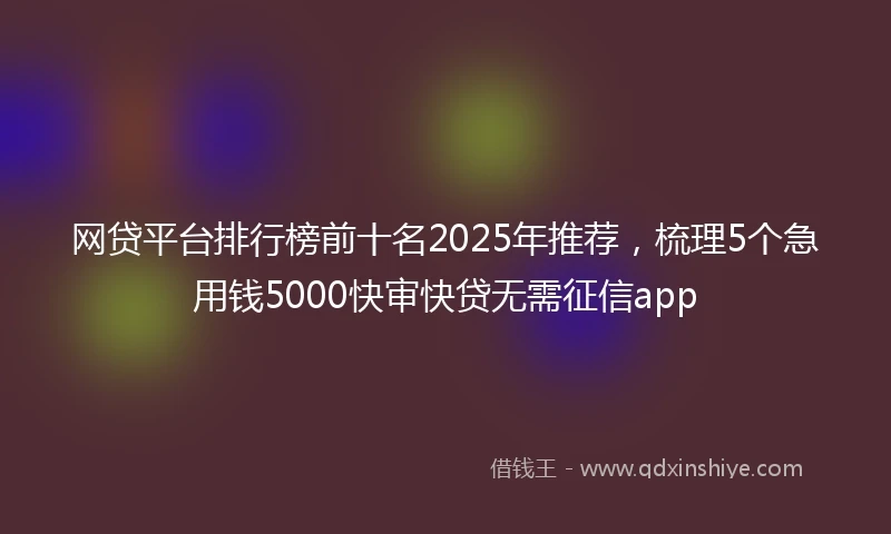 网贷平台排行榜前十名2025年推荐，梳理5个急用钱5000快审快贷无需征信app