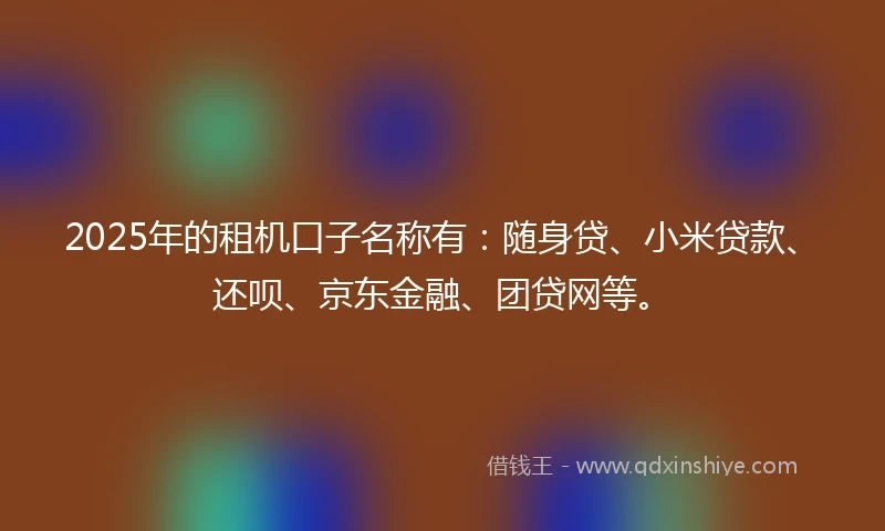 2025年的租机口子名称有：随身贷、小米贷款、还呗、京东金融、团贷网等。