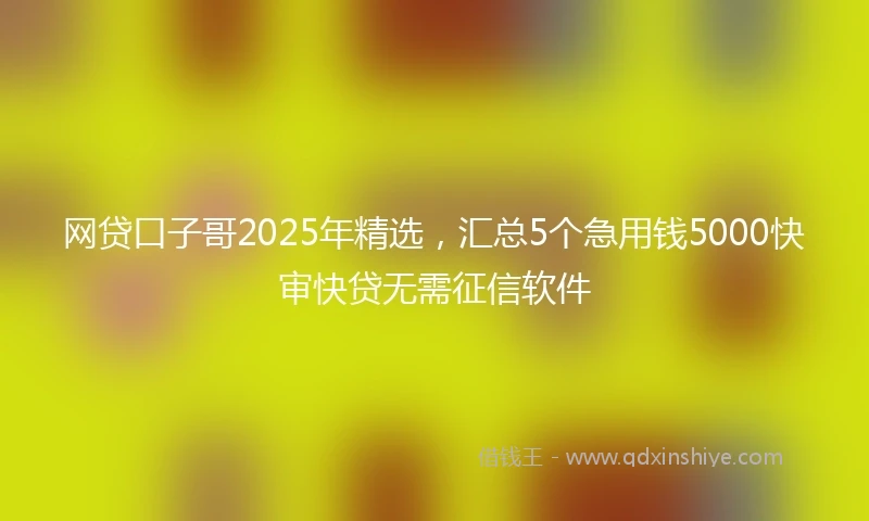 网贷口子哥2025年精选，汇总5个急用钱5000快审快贷无需征信软件
