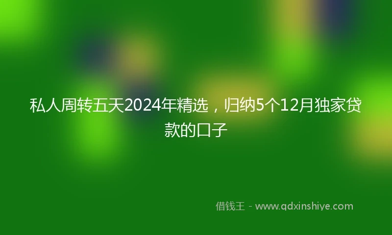 私人周转五天2024年精选，归纳5个12月独家贷款的口子