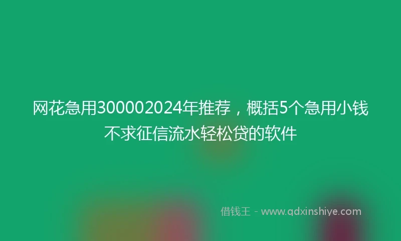 网花急用300002024年推荐，概括5个急用小钱不求征信流水轻松贷的软件