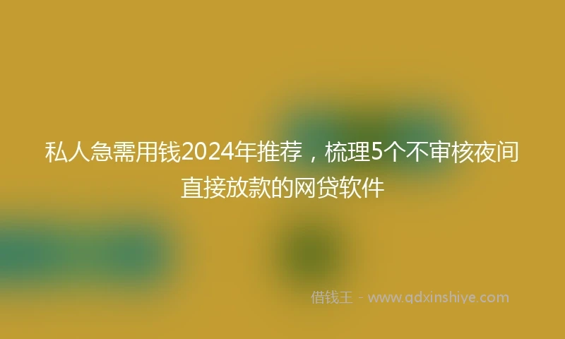 私人急需用钱2024年推荐，梳理5个不审核夜间直接放款的网贷软件