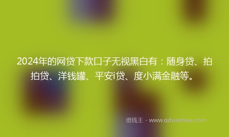 2024年的网贷下款口子无视黑白有:随身贷、拍拍贷、洋钱罐、平安i贷、度小满金融等。