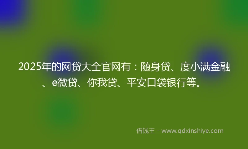 2025年的网贷大全官网有：随身贷、度小满金融、e微贷、你我贷、平安口袋银行等。