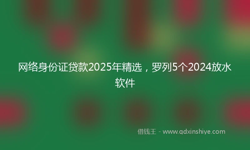 网络身份证贷款2025年精选，罗列5个2024放水软件