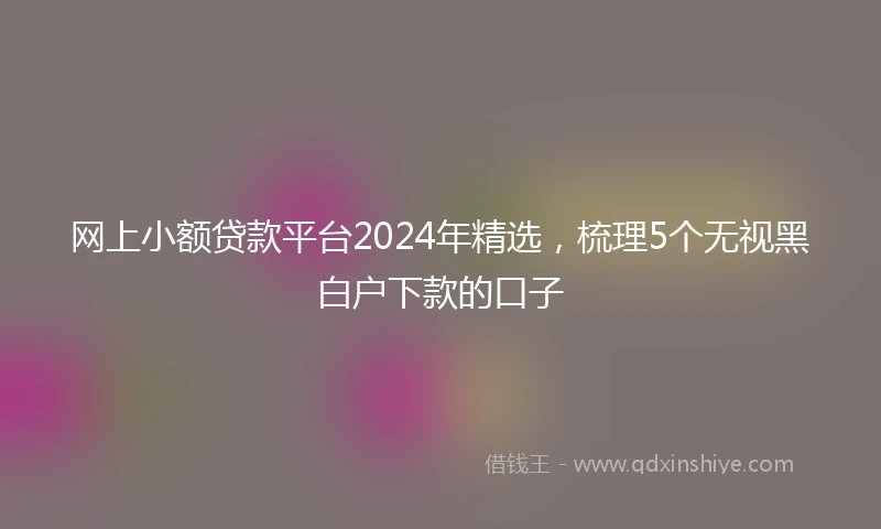 网上小额贷款平台2024年精选，梳理5个无视黑白户下款的口子