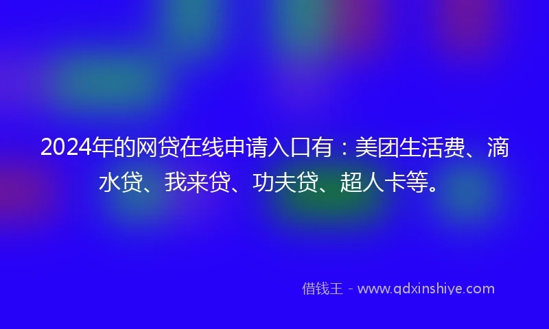 2024年的网贷在线申请入口有：美团生活费、滴水贷、我来贷、功夫贷、超人卡等。