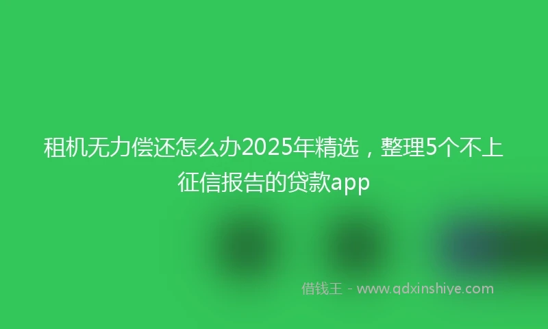 租机无力偿还怎么办2025年精选，整理5个不上征信报告的贷款app