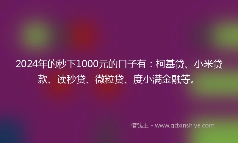 2024年的秒下1000元的口子有：柯基贷、小米贷款、读秒贷、微粒贷、度小满金融等。
