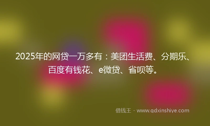 2025年的网贷一万多有：美团生活费、分期乐、百度有钱花、e微贷、省呗等。