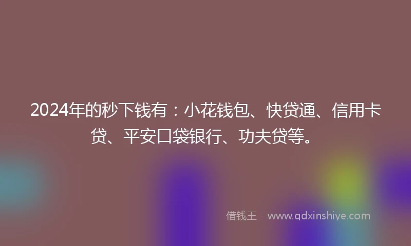 2024年的秒下钱有：小花钱包、快贷通、信用卡贷、平安口袋银行、功夫贷等。