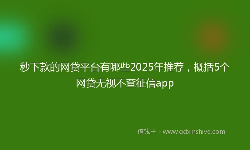 秒下款的网贷平台有哪些2025年推荐，概括5个网贷无视不查征信app