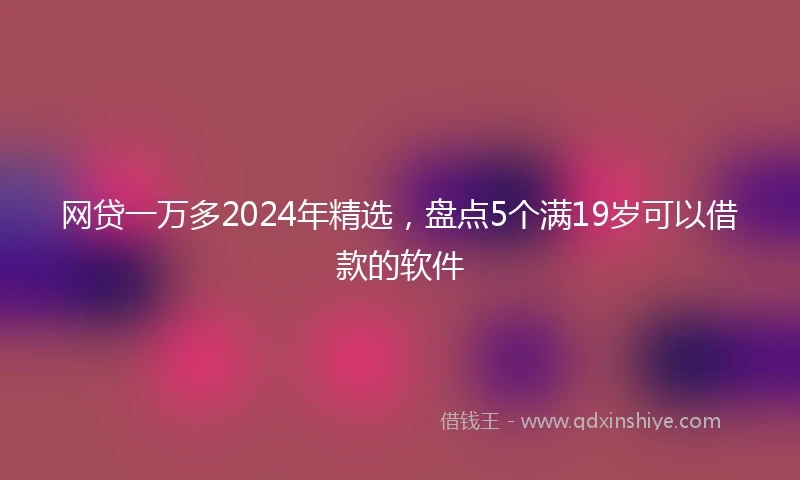 网贷一万多2024年精选，盘点5个满19岁可以借款的软件