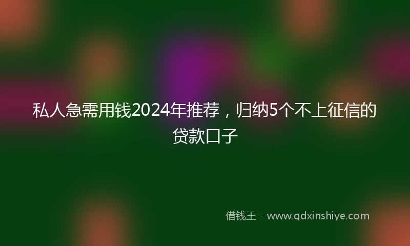 私人急需用钱2024年推荐，归纳5个不上征信的贷款口子