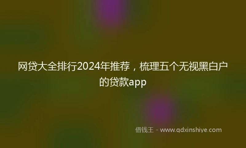 网贷大全排行2024年推荐，梳理五个无视黑白户的贷款app