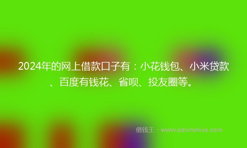 2024年的网上借款口子有：小花钱包、小米贷款、百度有钱花、省呗、投友圈等。
