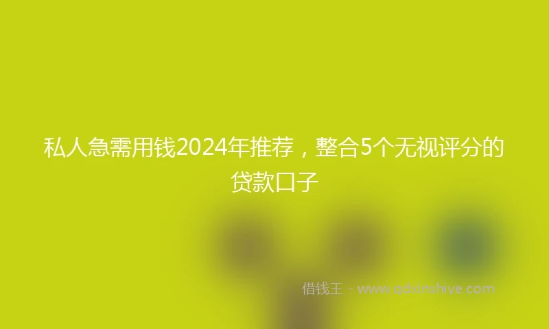 私人急需用钱2024年推荐，整合5个无视评分的贷款口子