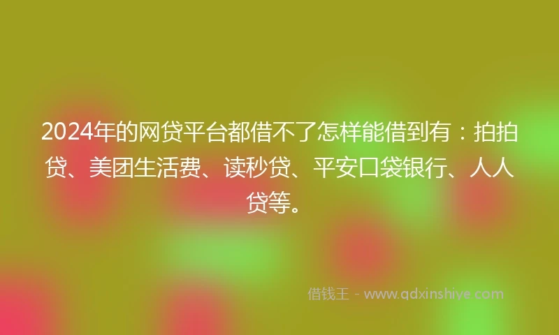 2024年的网贷平台都借不了怎样能借到有：拍拍贷、美团生活费、读秒贷、平安口袋银行、人人贷等。
