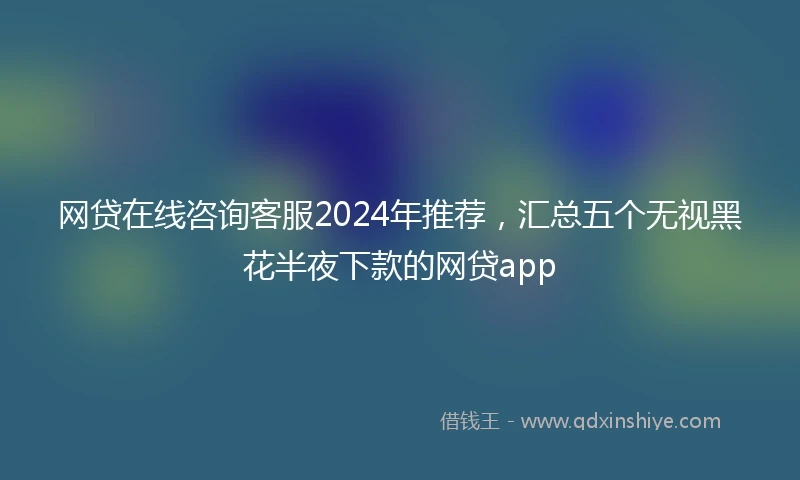 网贷在线咨询客服2024年推荐，汇总五个无视黑花半夜下款的网贷app