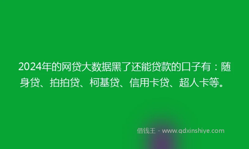 2024年的网贷大数据黑了还能贷款的口子有：随身贷、拍拍贷、柯基贷、信用卡贷、超人卡等。
