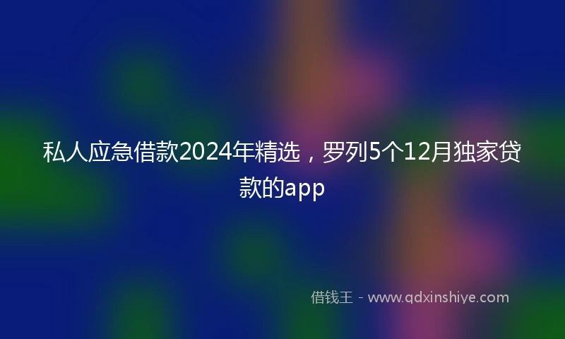 私人应急借款2024年精选，罗列5个12月独家贷款的app