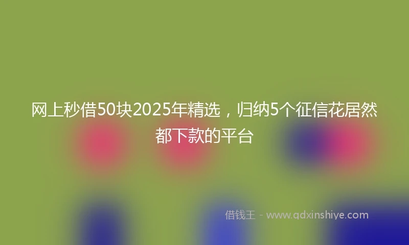 网上秒借50块2025年精选，归纳5个征信花居然都下款的平台