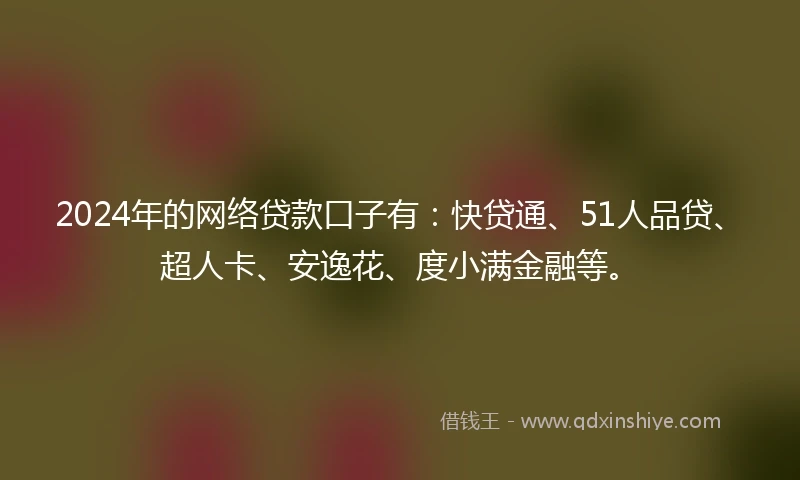 2024年的网络贷款口子有：快贷通、51人品贷、超人卡、安逸花、度小满金融等。