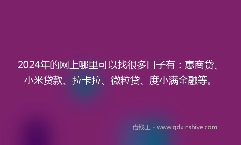 2024年的网上哪里可以找很多口子有：惠商贷、小米贷款、拉卡拉、微粒贷、度小满金融等。
