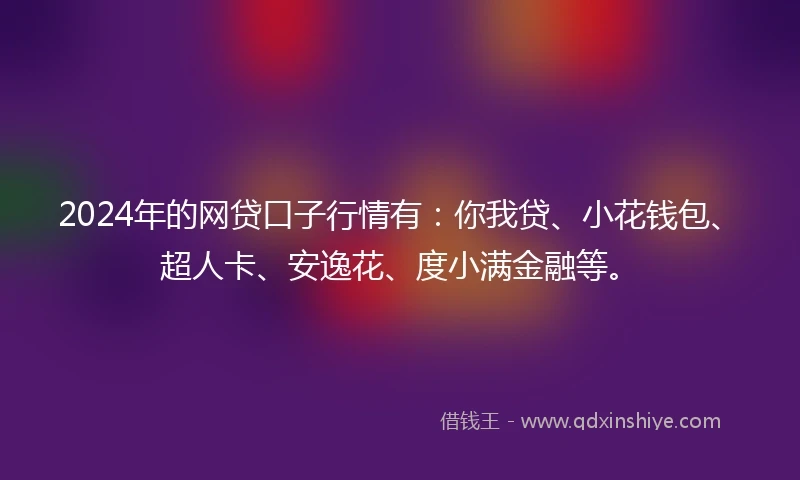 2024年的网贷口子行情有：你我贷、小花钱包、超人卡、安逸花、度小满金融等。