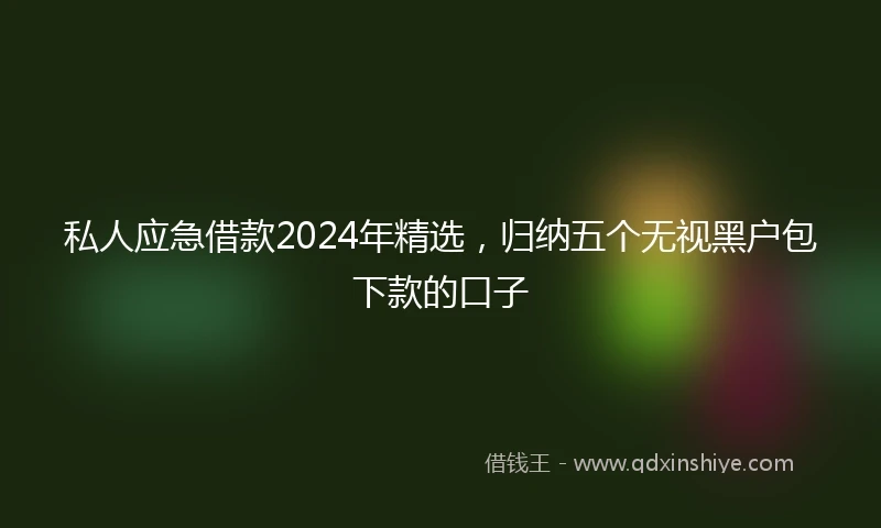 私人应急借款2024年精选，归纳五个无视黑户包下款的口子