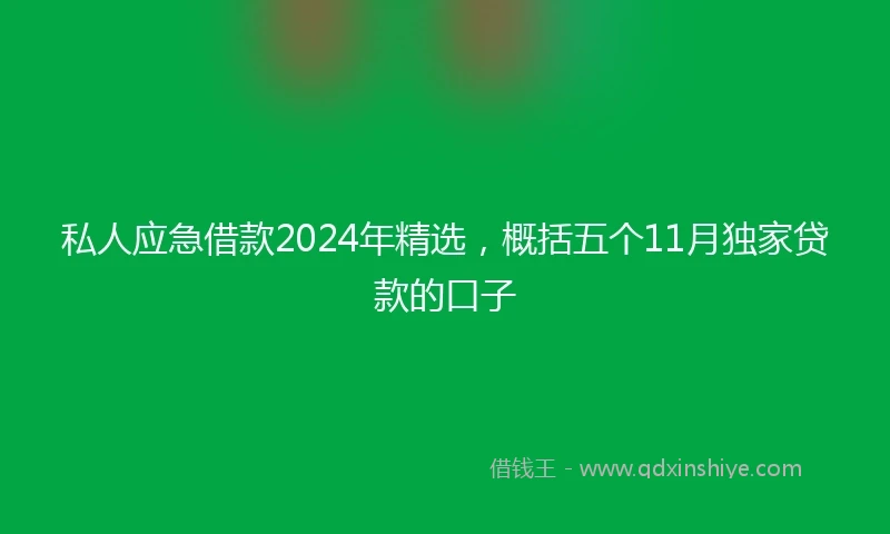 私人应急借款2024年精选，概括五个11月独家贷款的口子