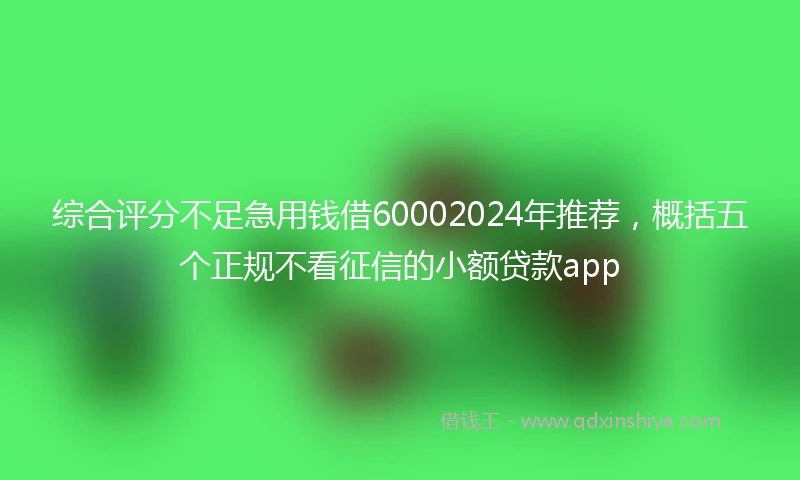 综合评分不足急用钱借60002024年推荐，概括五个正规不看征信的小额贷款app