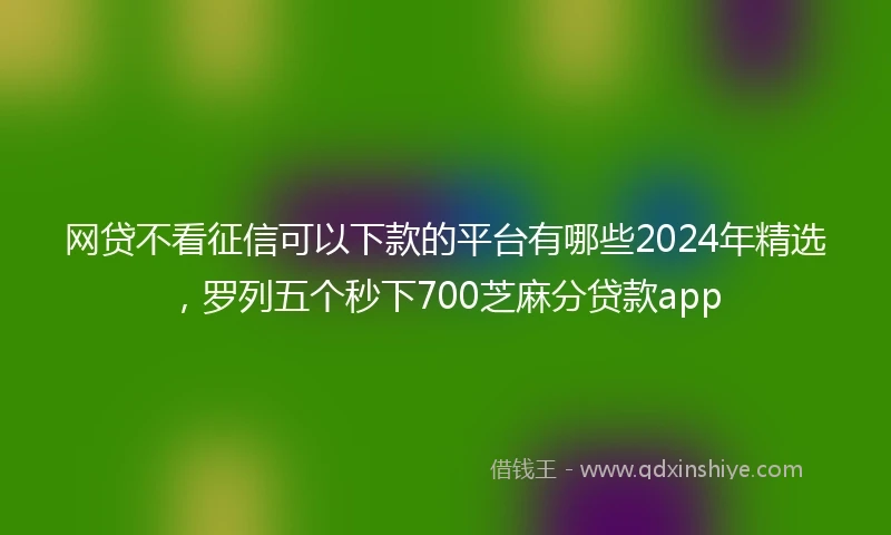 网贷不看征信可以下款的平台有哪些2024年精选，罗列五个秒下700芝麻分贷款app