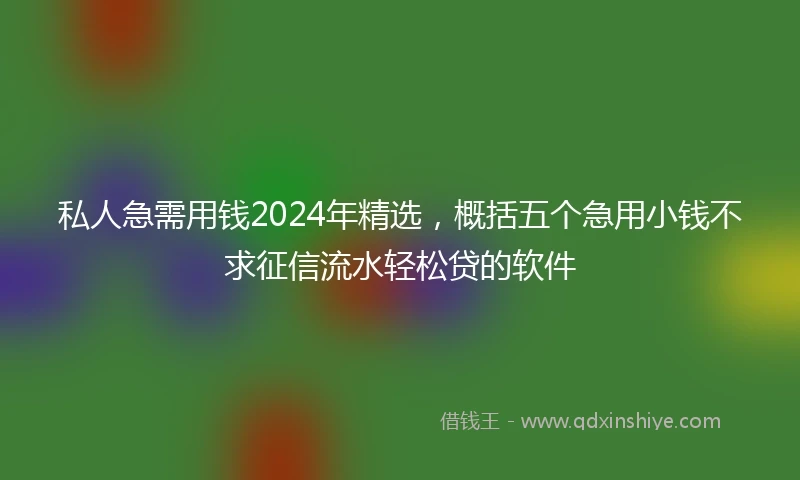 私人急需用钱2024年精选，概括五个急用小钱不求征信流水轻松贷的软件