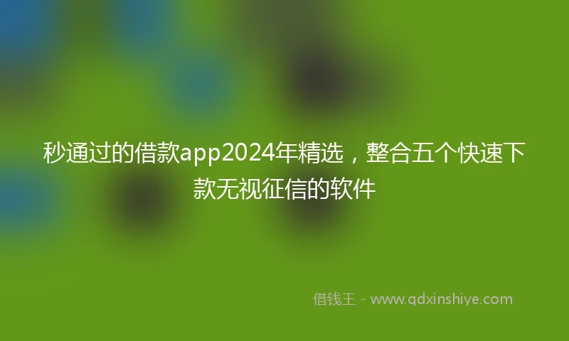 秒通过的借款app2024年精选，整合五个快速下款无视征信的软件