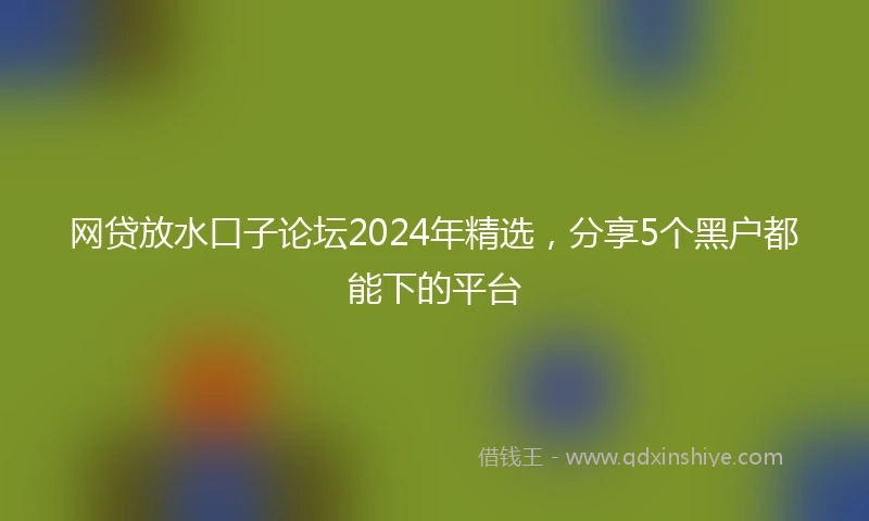 网贷放水口子论坛2024年精选，分享5个黑户都能下的平台