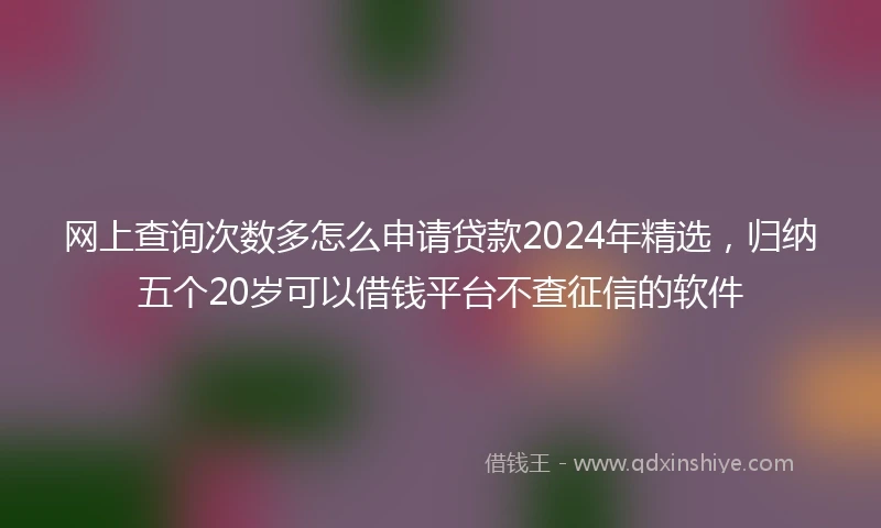 网上查询次数多怎么申请贷款2024年精选，归纳五个20岁可以借钱平台不查征信的软件