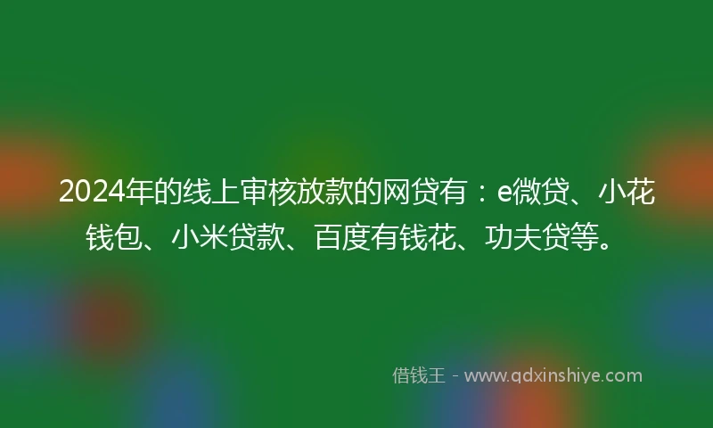 2024年的线上审核放款的网贷有：e微贷、小花钱包、小米贷款、百度有钱花、功夫贷等。