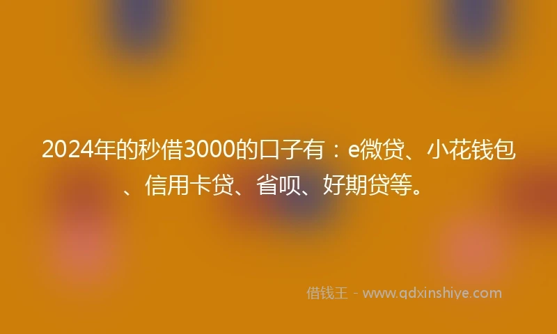 2024年的秒借3000的口子有：e微贷、小花钱包、信用卡贷、省呗、好期贷等。