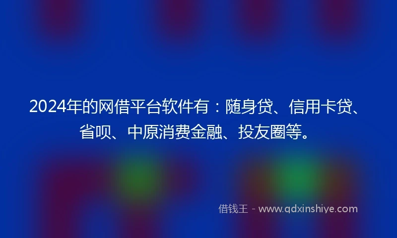 2024年的网借平台软件有：随身贷、信用卡贷、省呗、中原消费金融、投友圈等。