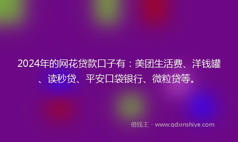 2024年的网花贷款口子有：美团生活费、洋钱罐、读秒贷、平安口袋银行、微粒贷等。
