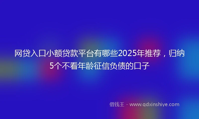 网贷入口小额贷款平台有哪些2025年推荐，归纳5个不看年龄征信负债的口子