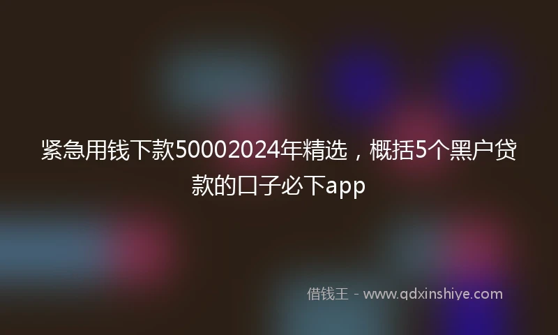 紧急用钱下款50002024年精选，概括5个黑户贷款的口子必下app